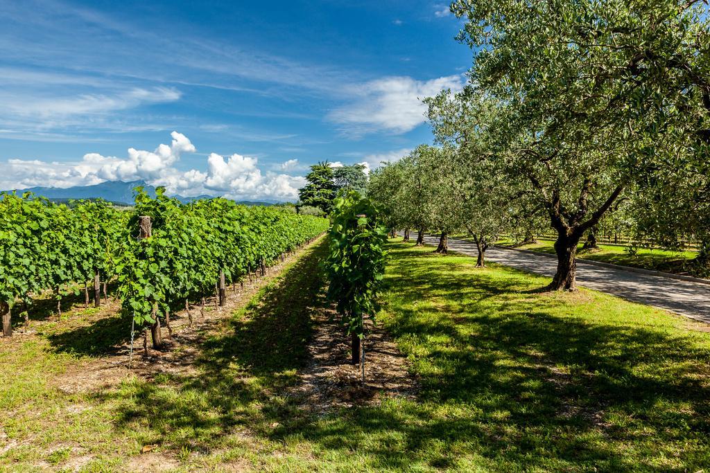 Quercia Belvedere Relais Bardolino Exterior foto